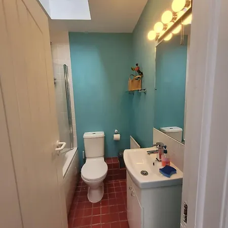 Tatil Evi Spacious & Stylish 1bd Cottageportobello Dublin!